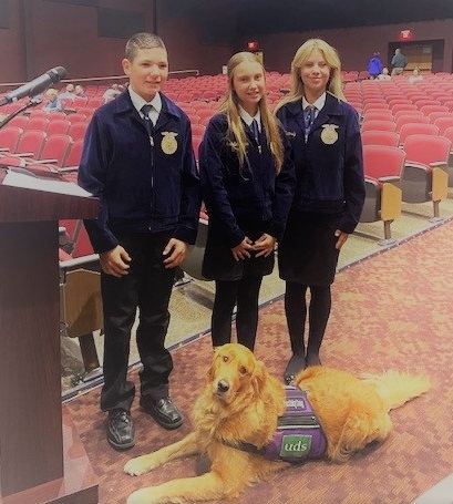 Lincoln w FFA